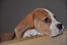 MHJ_00010517.JPG